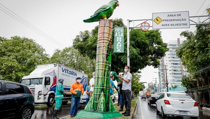 Prefeitura de Manaus cria zona de controle para proteger periquitos-de-asa-branca