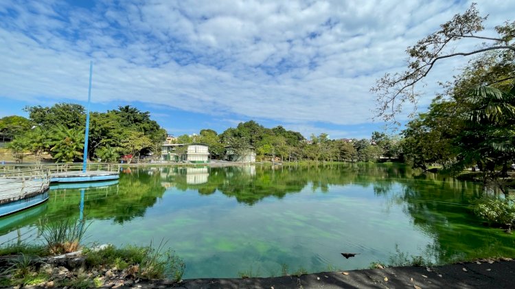 Prefeitura de Manaus disponibiliza ponto de coleta de livros usados