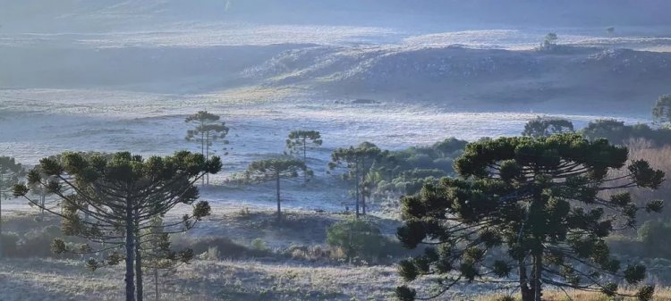 Sul tem neve e temperaturas negativas já nesta terça; termômetros despencam no Sudeste e Centro-Oeste