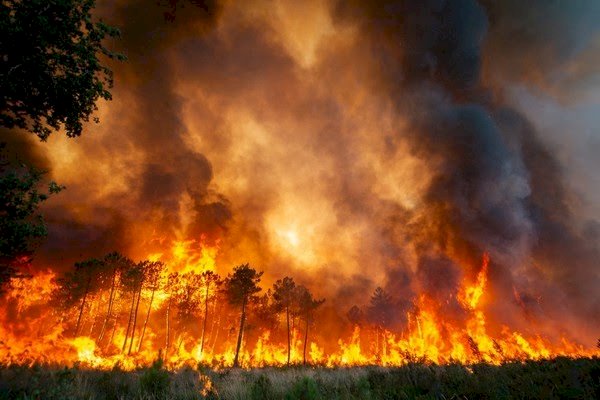 Europa vive onda de calor extremo e incêndios florestais