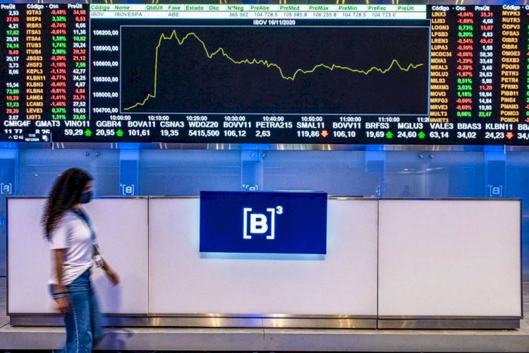 Ibovespa dribla volatilidade e fecha acima dos 110 mil pontos