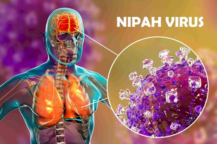 Nipah: quais são os sintomas do vírus que levou Índia ao lockdown