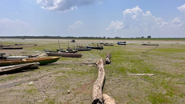 Estiagem deixa lago totalmente seco na área urbana de Manaus