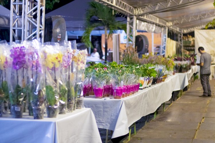 Feira de Flores de Holambra volta a Manaus com uma explosão de cores e 200 tipos de flores