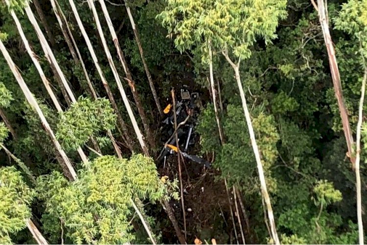 Helicóptero que caiu em SP se chocou com árvore, diz Cenipa