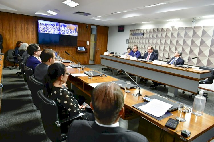 União homoafetiva, proteção a pets, doação de órgãos e regras para IA: o que prevê a reforma do Código Civil em debate no Senado