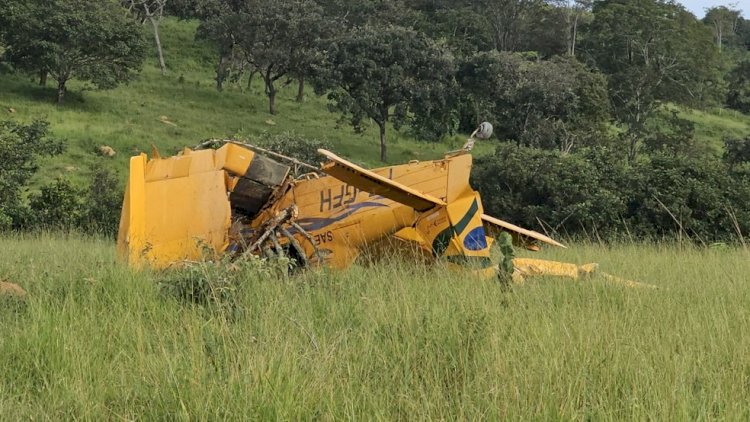 Avião faz pouso forçado e bate em árvores às margens de rodovia de Goiás, dizem bombeiros