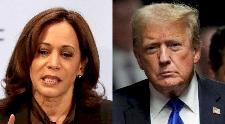 Pesquisa indica disputa acirrada entre Trump e Harris