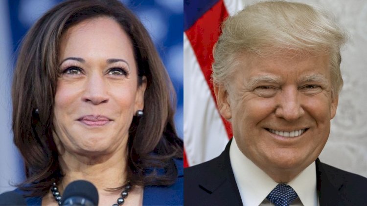 Eleições nos EUA: pesquisa mostra Kamala Harris e Donald Trump empatados tecnicamente