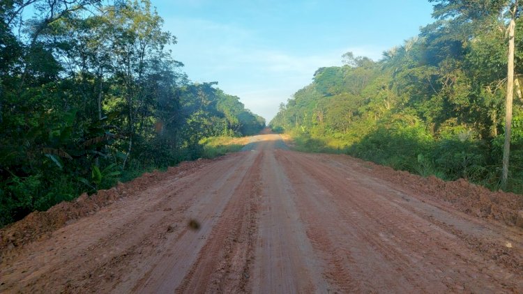 Liminar derruba licença prévia para asfaltamento da BR-319