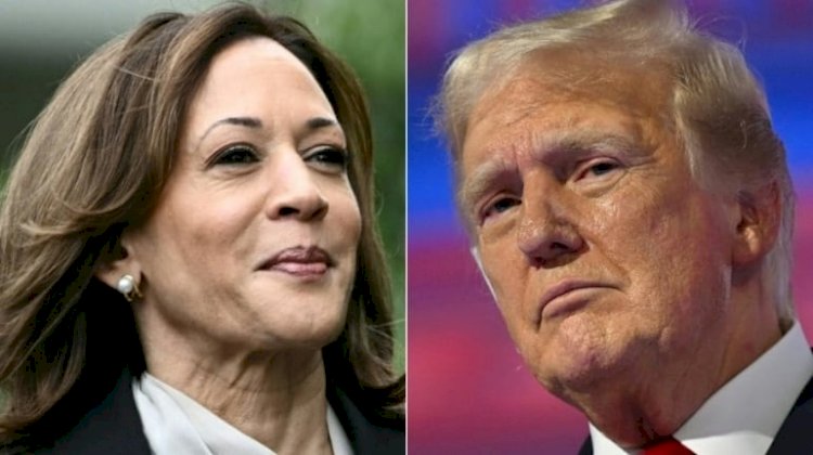 Kamala fica 1,4 ponto à frente de Trump, prevê agregador de pesquisas dos EUA