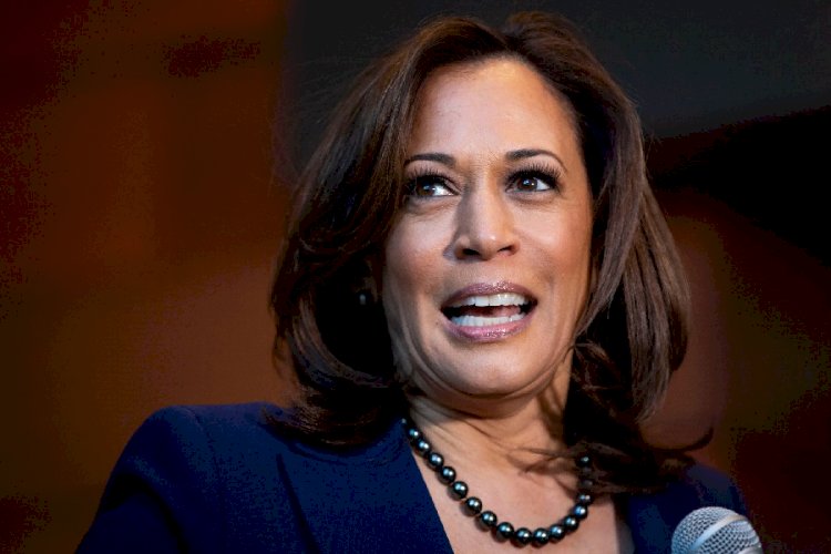 O cheque de bilhões que a campanha de Kamala Harris arrecadou em um mês