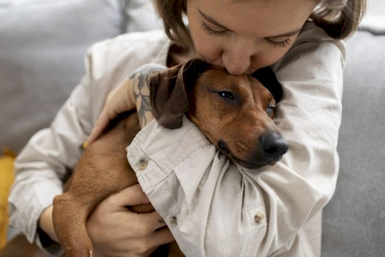 Pesquisa revela quanto 'pais e mães de pets' gastam em média com seus filhos de quatro patas