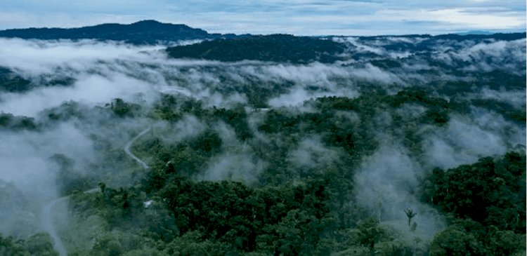 Como 'dilúvio' no deserto do Saara mexerá com o tempo no Brasil