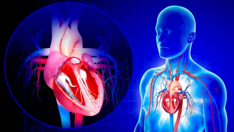 Infarto e parada cardíaca não são a mesma coisa; especialistas ensinam como diferenciá-los