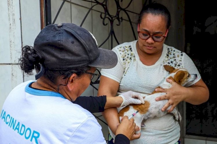 Prefeitura de Manaus inicia Campanha de Vacinação Antirrábica Animal 2024