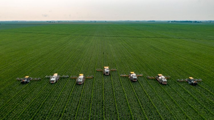 Depois de 6 anos, Brasil deve voltar a colher safra recorde de arroz