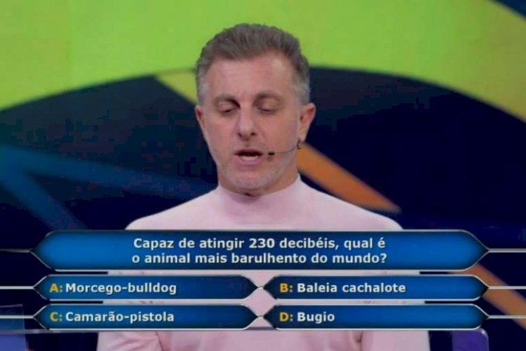 Saber qual é o animal mais barulhento do mundo valia R$ 100 mil; você acertaria?