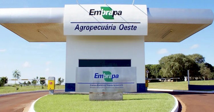 Concurso da Embrapa encerra inscrições nesta sexta; são 1.027 vagas e salários de até R$ 12,8 mil